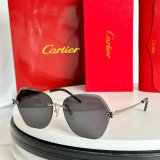 Cartier Sunglasses AAA (1294)