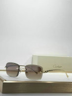 Cartier Sunglasses AAA (126)