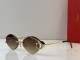 Cartier Sunglasses AAA (2726)