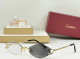 Cartier Sunglasses AAA (457)