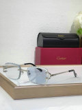 Cartier Sunglasses AAA (778)