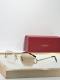 Cartier Sunglasses AAA (3924)