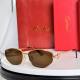 Cartier Sunglasses AAA (3987)