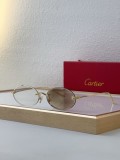 Cartier Sunglasses AAA (2607)