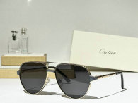 Cartier Sunglasses AAA (683)