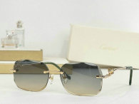 Cartier Sunglasses AAA (421)