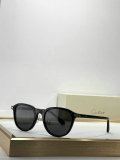 Cartier Sunglasses AAA (118)