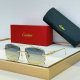 Cartier Sunglasses AAA (730)
