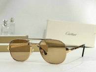 Cartier Sunglasses AAA (262)