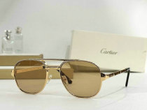 Cartier Sunglasses AAA (262) Cartier Sunglasses AAA (262)