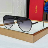 Cartier Sunglasses AAA (881)