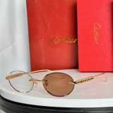 Cartier Sunglasses AAA (317)