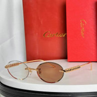 Cartier Sunglasses AAA (317)