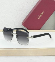 Cartier Sunglasses AAA (635) Cartier Sunglasses AAA (635)