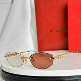 Cartier Sunglasses AAA (1702)