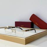 Cartier Sunglasses AAA (2083)