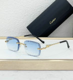 Cartier Sunglasses AAA (622)