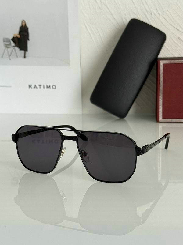 Cartier Sunglasses AAA (390)