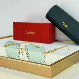 Cartier Sunglasses AAA (735)