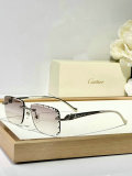 Cartier Sunglasses AAA (1487)