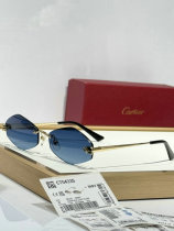 Cartier Sunglasses AAA (1033) Cartier Sunglasses AAA (1033)