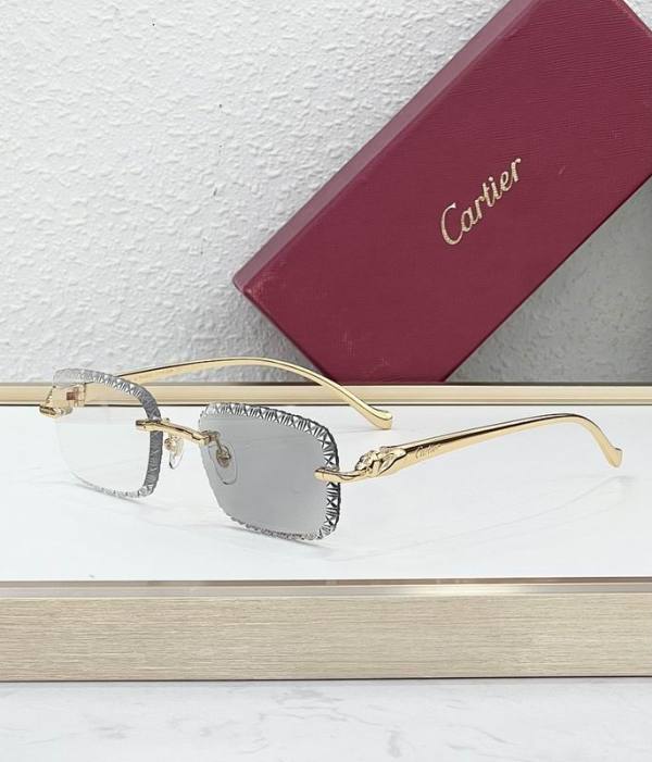 Cartier Sunglasses AAA (1891)