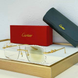 Cartier Sunglasses AAA (728)