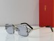 Cartier Sunglasses AAA (2824)