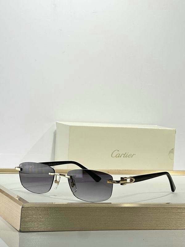 Cartier Sunglasses AAA (494)
