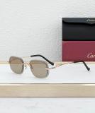 Cartier Sunglasses AAA (1990)