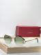 Cartier Sunglasses AAA (3562)