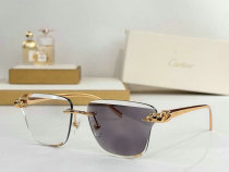 Cartier Sunglasses AAA (1623) Cartier Sunglasses AAA (1623)