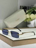 Cartier Sunglasses AAA (220)