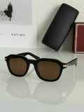 Cartier Sunglasses AAA (381)