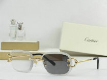 Cartier Sunglasses AAA (714) Cartier Sunglasses AAA (714)