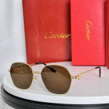 Cartier Sunglasses AAA (400)