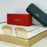 Cartier Sunglasses AAA (734)