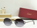 Cartier Sunglasses AAA (1008)