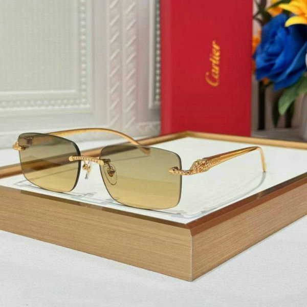 Cartier Sunglasses AAA (893)
