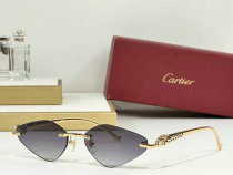 Cartier Sunglasses AAA (876) Cartier Sunglasses AAA (876)