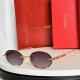 Cartier Sunglasses AAA (310)