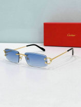 Cartier Sunglasses AAA (1166) Cartier Sunglasses AAA (1166)