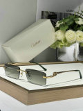 Cartier Sunglasses AAA (219)