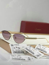 Cartier Sunglasses AAA (339) Cartier Sunglasses AAA (339)
