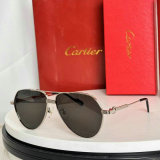 Cartier Sunglasses AAA (292)