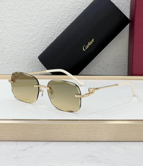 Cartier Sunglasses AAA (1927)