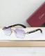 Cartier Sunglasses AAA (2010)