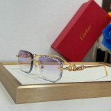 Cartier Sunglasses AAA (1644)