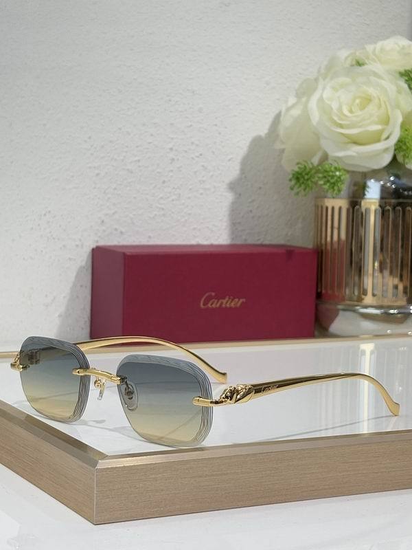 Cartier Sunglasses AAA (2539)