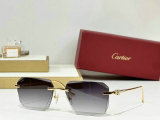Cartier Sunglasses AAA (843)